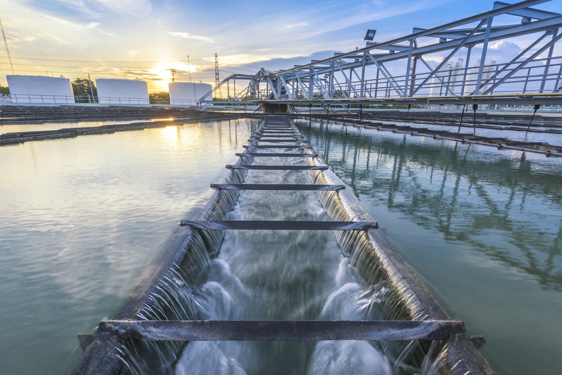 THE FUTURE OF WATER AND THE WATER INDUSTRY 